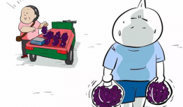 买菜漫画,一幅生动的买菜漫画故事